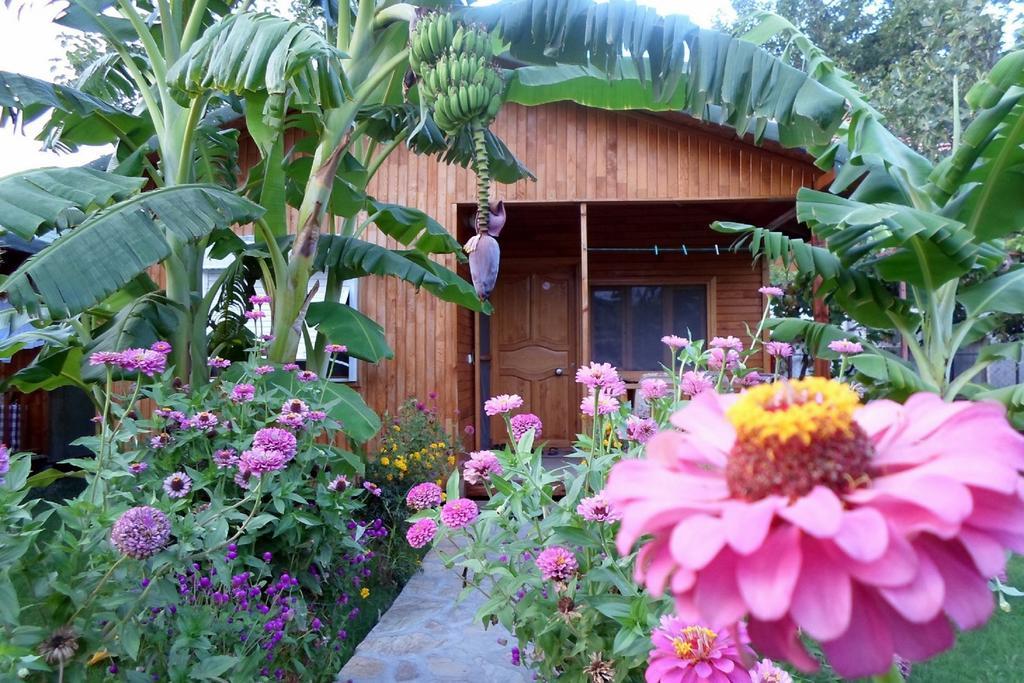 Estelar Bungalow Çıralı Esterno foto