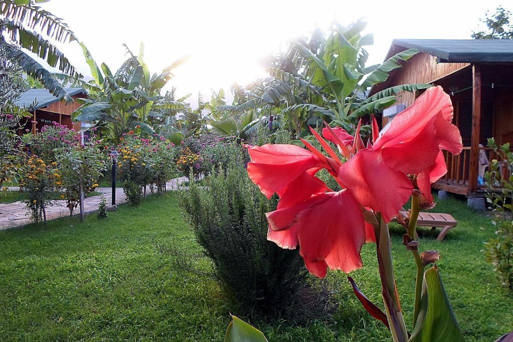 Estelar Bungalow Çıralı Esterno foto